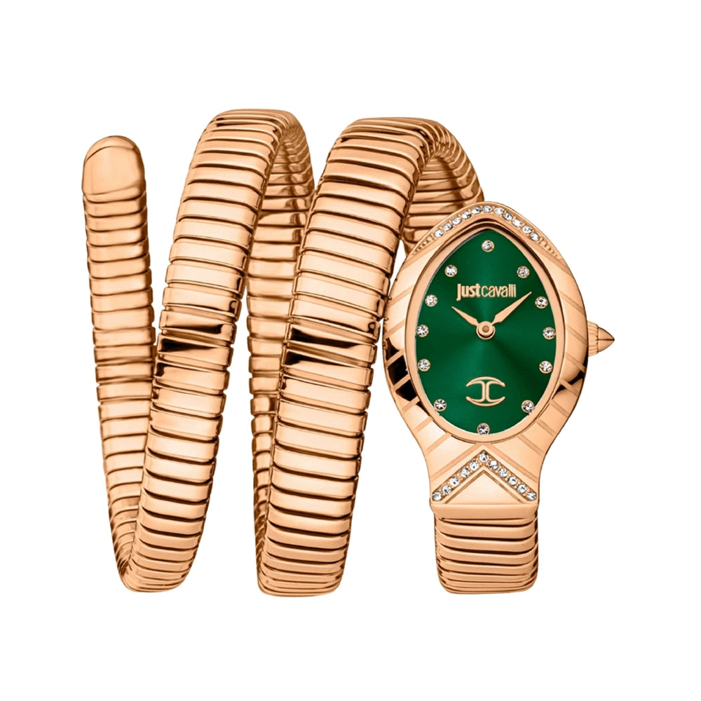 Just Cavalli Green Dial Ladies Watch | JC1L248M0045