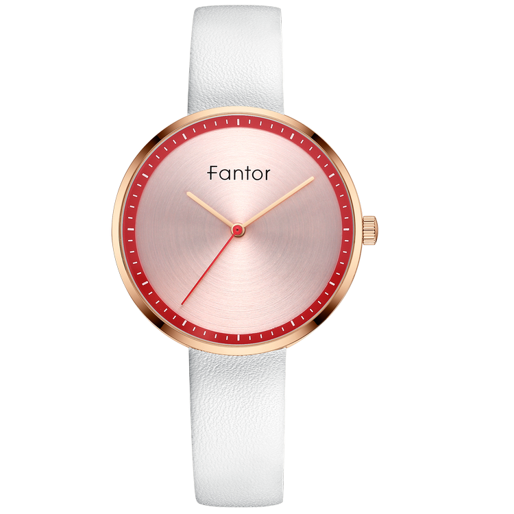 Fantor Brand Luxury Minimalist Watch for Women WF1026L02 - Time Access store