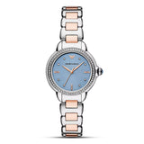 Emporio Armani Mia Three Hand Blue Dial Ladies Watch | AR11597