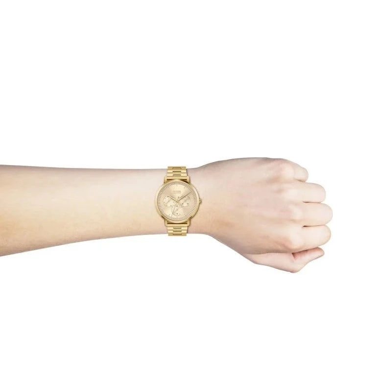 Hugo Boss Prima Horloge Women's Watch HB1502572