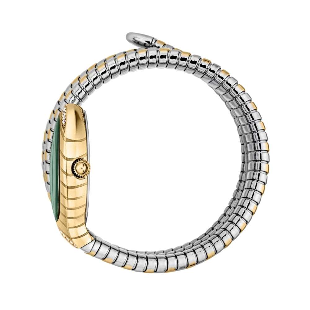 Just Cavalli Green Dial Ladies Watch | JC1L248M0065